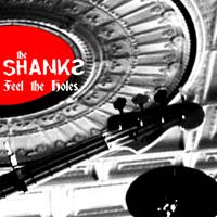 Виниловая пластинка SHANKS / FEEL THE HOLES (1LP)